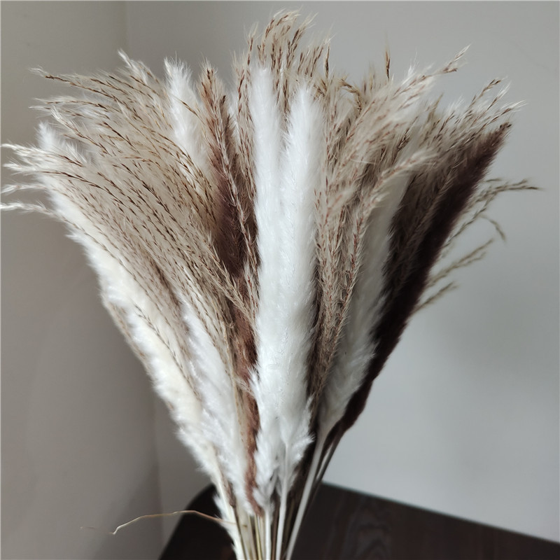 Dried Flower Bunch - 15/30pcs Mixed Dried Flower Bouquet Small