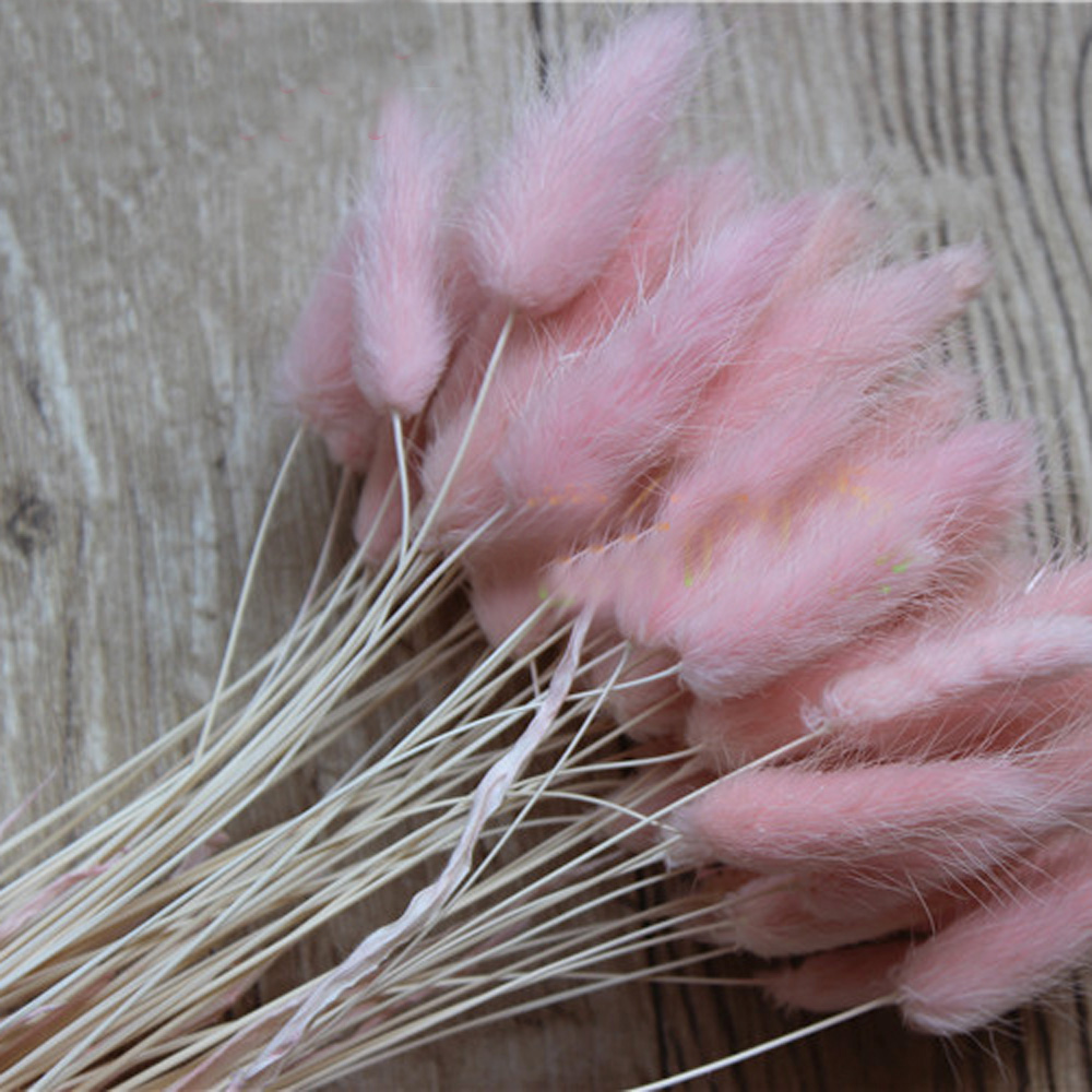 50pcs dried natural flower bou - Dried Flower Bunch recension och pris