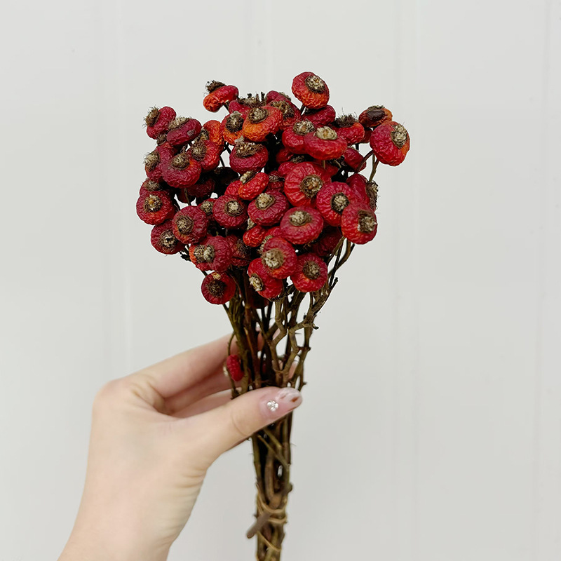 10pcs/Bunch Dried Rose Hip Ber - Dried Flower Bunch recension och pris