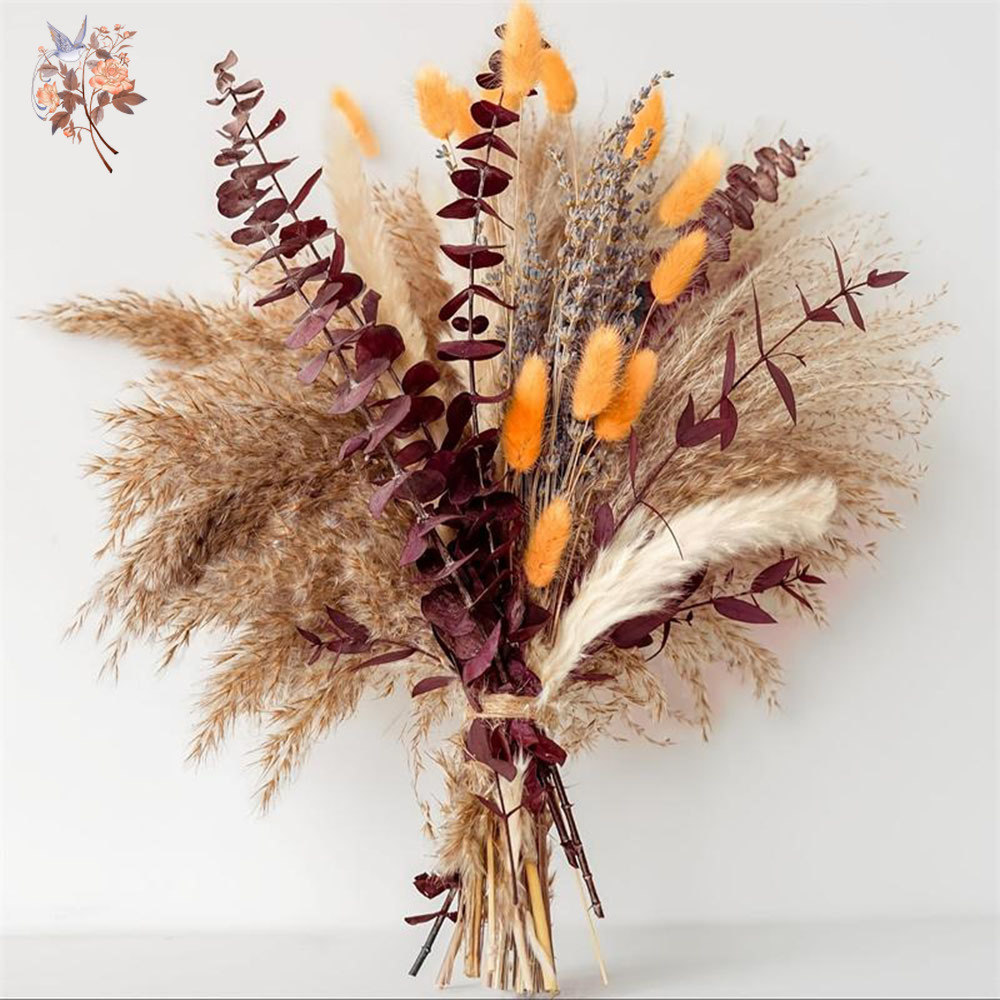 75PCS Dried Pampas Eucalyptus  - Dried Flower Bunch recension och pris