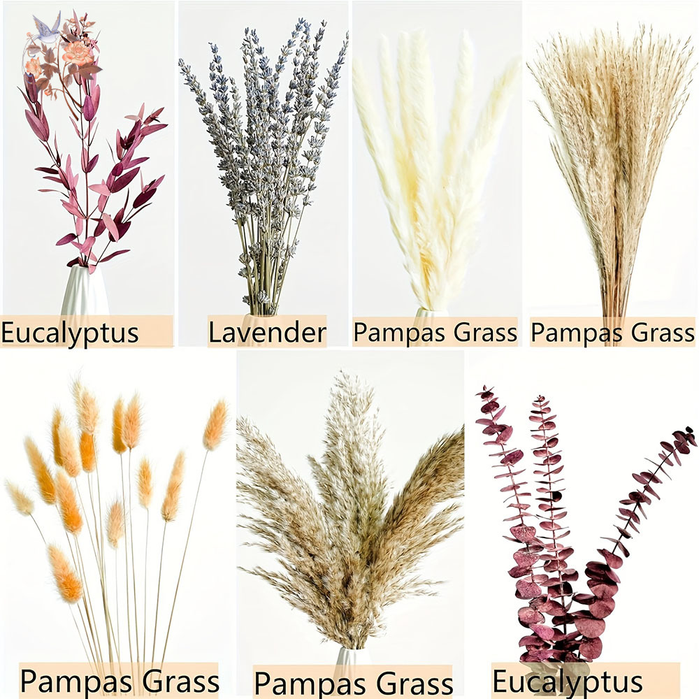 75PCS Dried Pampas Eucalyptus  - Dried Flower Bunch recension och pris