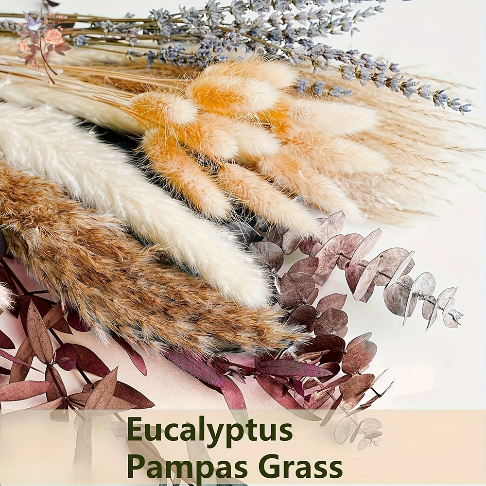 75PCS Dried Pampas Eucalyptus  - Dried Flower Bunch recension och pris