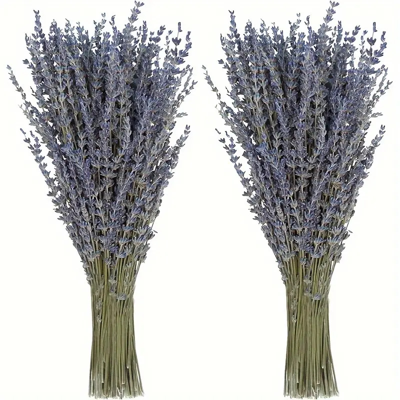 200pcs/Bunch Lavender Dried Fl - Dried Flower Bunch recension och pris