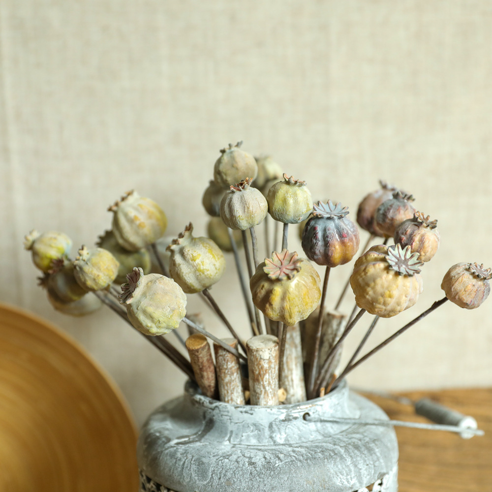 6Heads Poppies Fruit Dried Flo - Dried Flower Bunch recension och pris