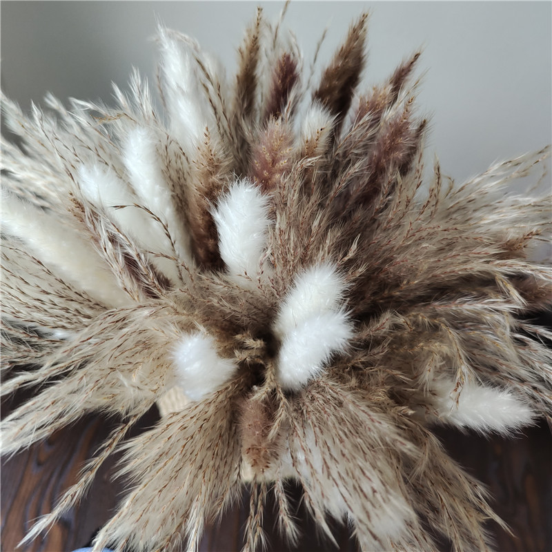15/30pcs Mixed Dried Flower Bo - Dried Flower Bunch recension och pris