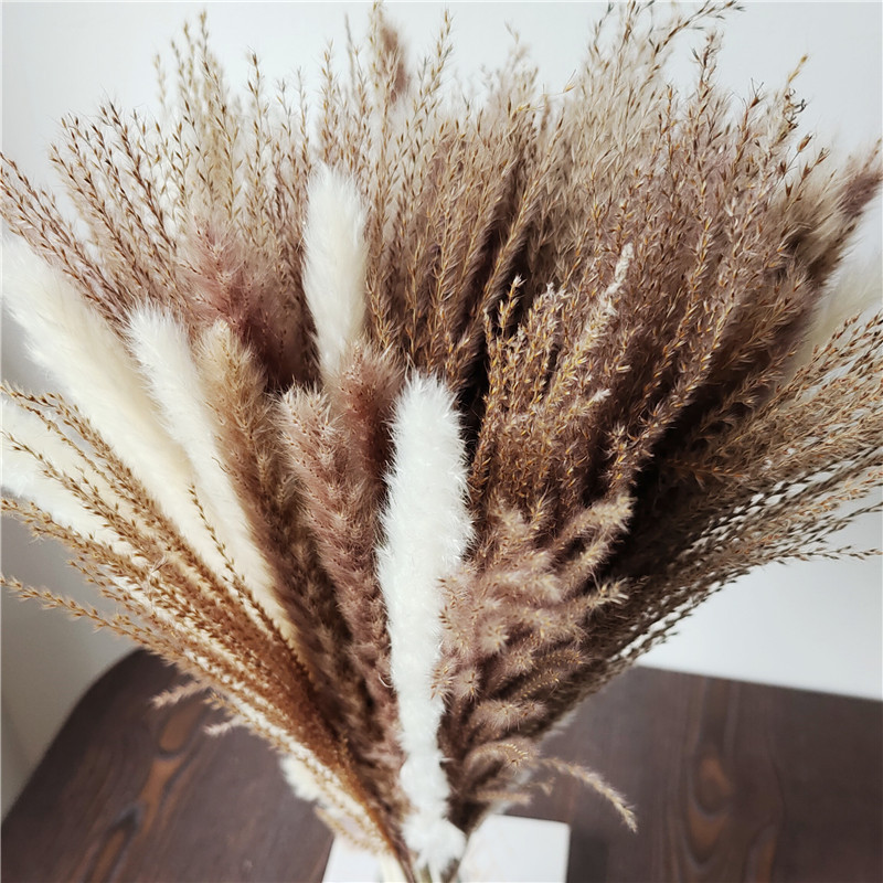 15/30pcs Mixed Dried Flower Bo - Dried Flower Bunch recension och pris