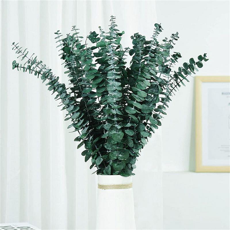 10PCS Real Eucalyptus Leaves D - Eucalyptus Preserved recension och pris