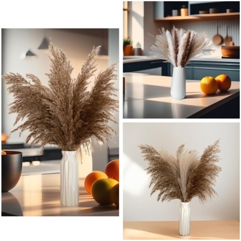 Bulk 100PCS Dried Pampas Grass - Dried Flower Bunch recension och pris