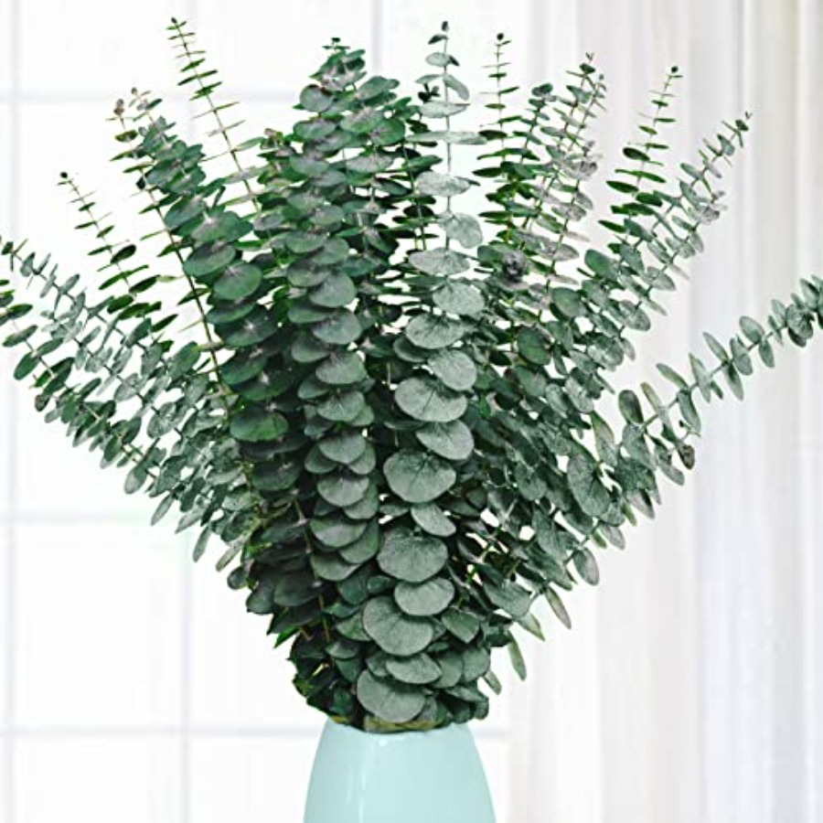 20 Pcs Preserved Dried Eucalyp - Eucalyptus Preserved recension och pris