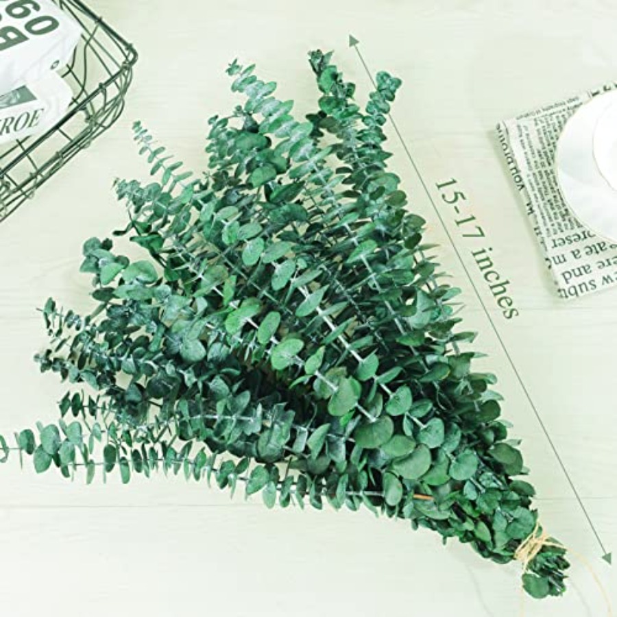 20 Pcs Preserved Dried Eucalyp - Eucalyptus Preserved recension och pris
