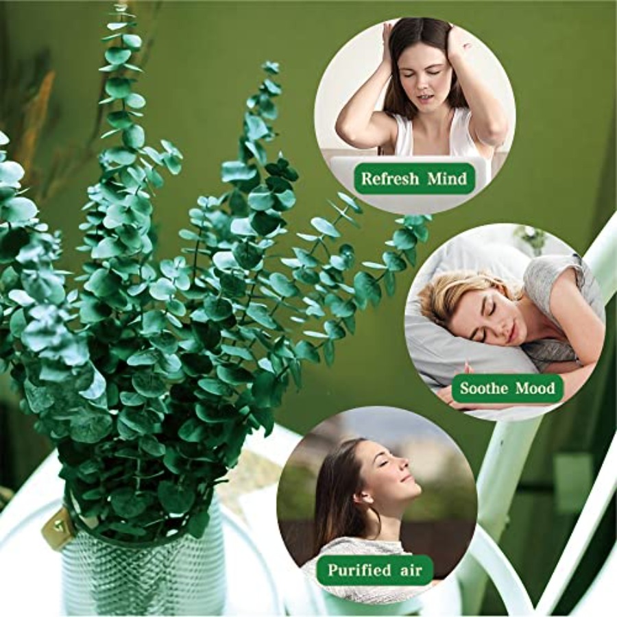 20 Pcs Preserved Dried Eucalyp - Eucalyptus Preserved recension och pris