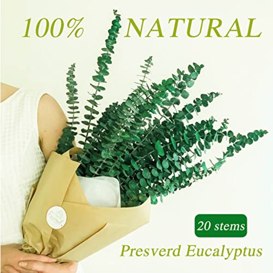 20 Pcs Preserved Dried Eucalyp - Eucalyptus Preserved recension och pris