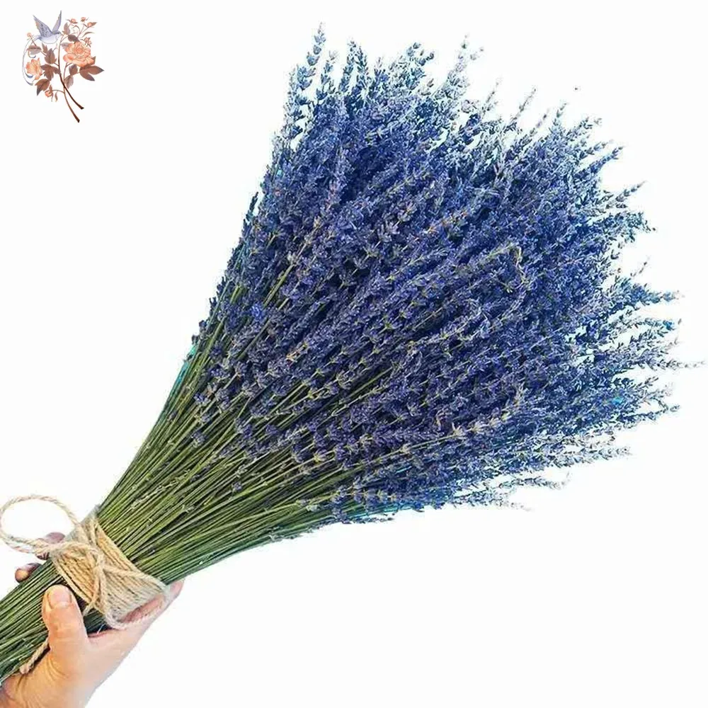 50g Natural Dried Lavender Bou - Dried Flower Bunch recension och pris