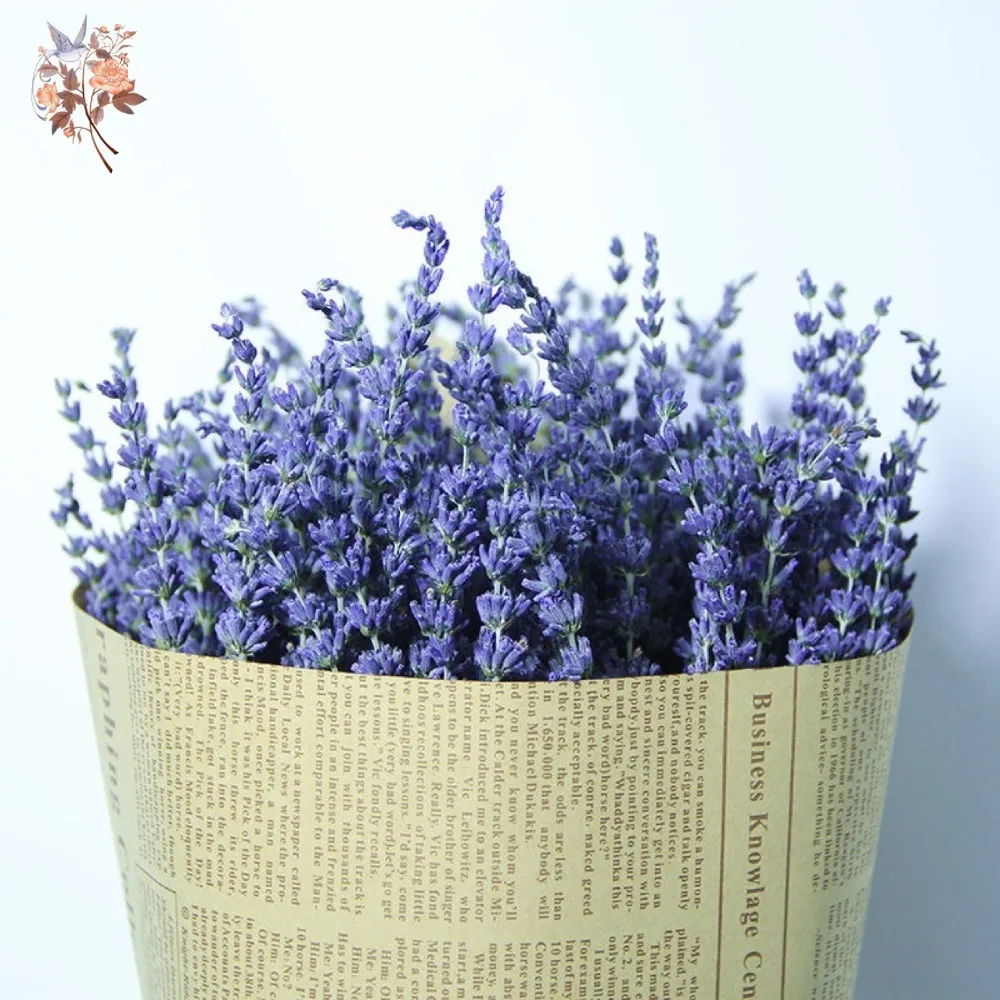 50g Natural Dried Lavender Bou - Dried Flower Bunch recension och pris