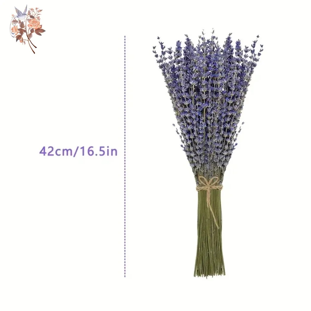 50g Natural Dried Lavender Bou - Dried Flower Bunch recension och pris