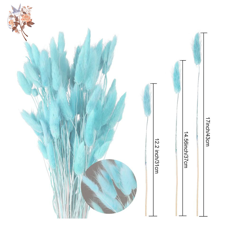 100Pcs Natural Rabbit Tails Gr - Dried Flower Bunch recension och pris