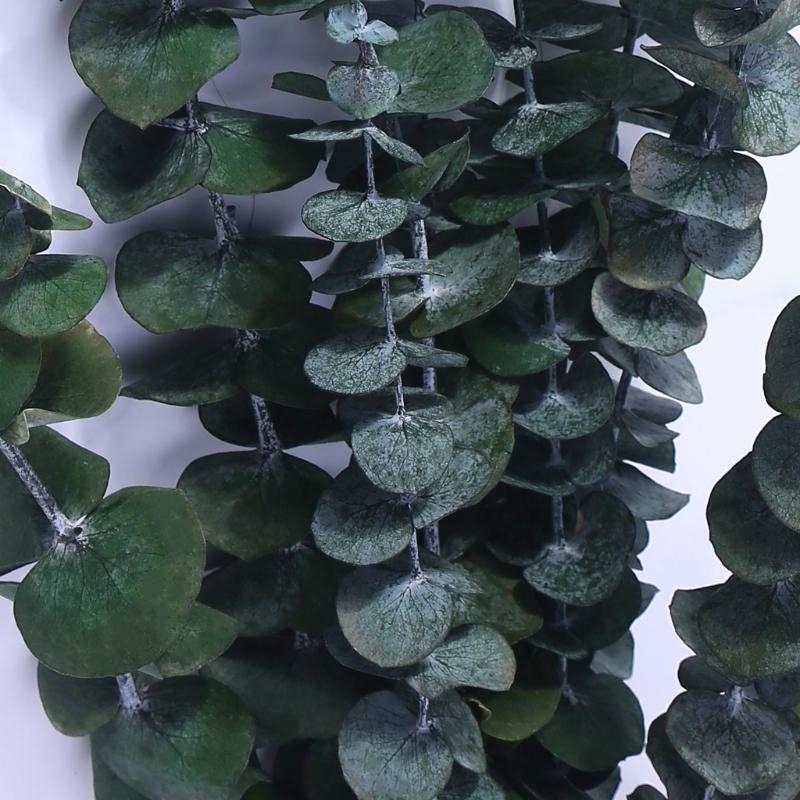 20Pcs Preserved for Fresh Euca - Eucalyptus Preserved recension och pris