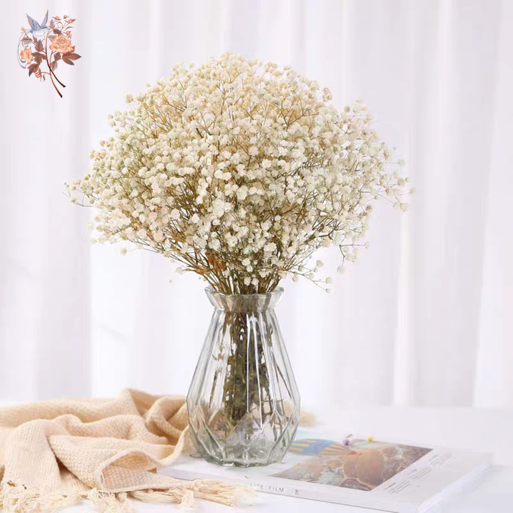 60g Dried Baby Breath Flower B - Dried Flower Bunch recension och pris