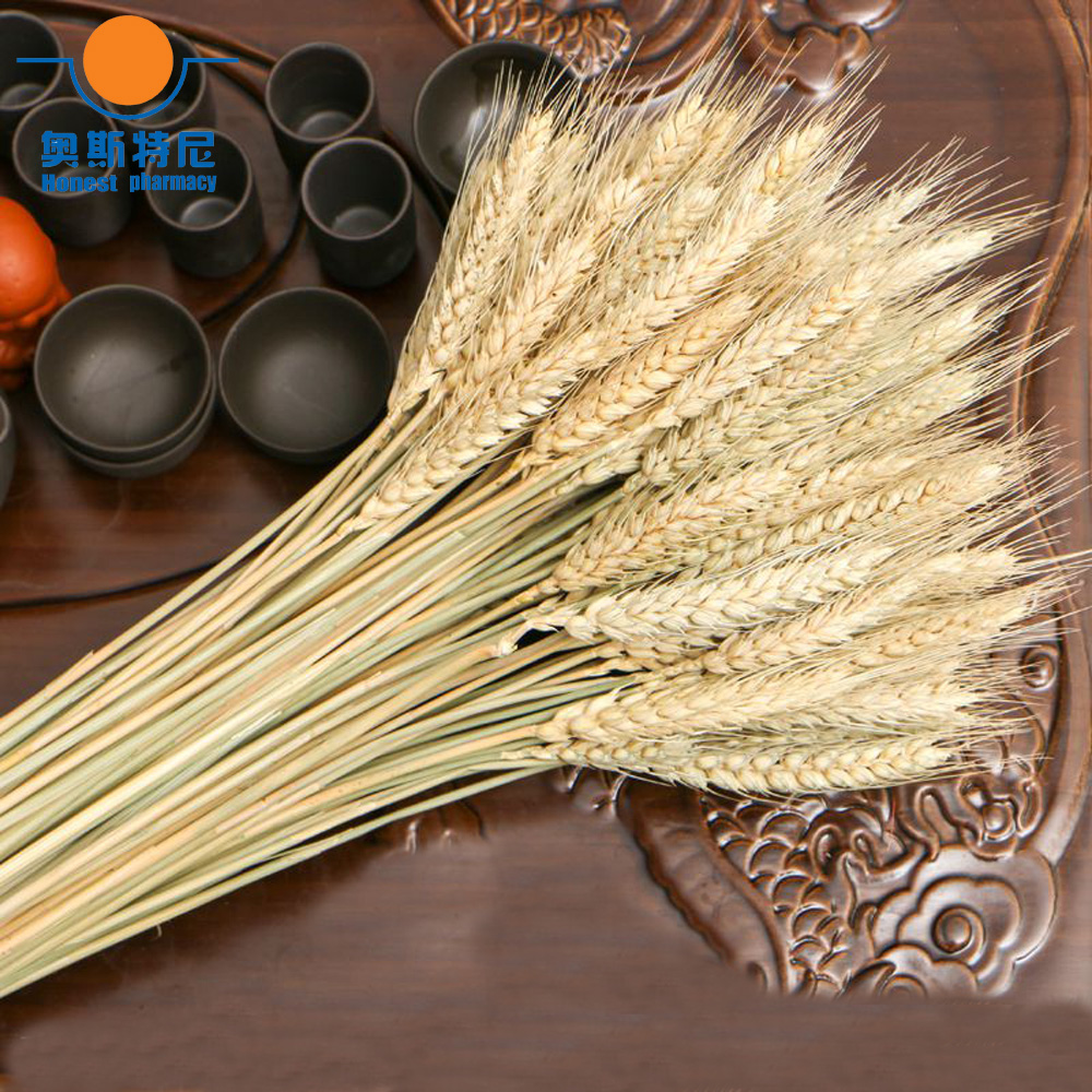 50pcs natural dried flower bou - Dried Flower Bunch recension och pris
