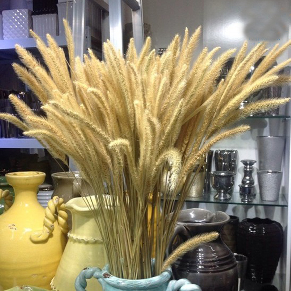 200pcs natural dried Lagurus o - Dried Flower Bunch recension och pris