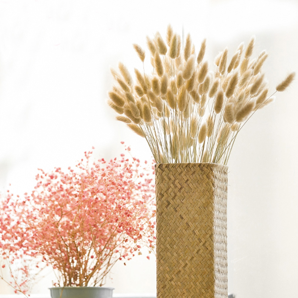 200pcs natural dried Lagurus o - Dried Flower Bunch recension och pris