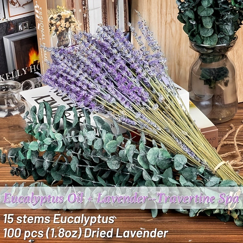 Preserved Lavender & Eucalyptu - Eucalyptus Preserved recension och pris
