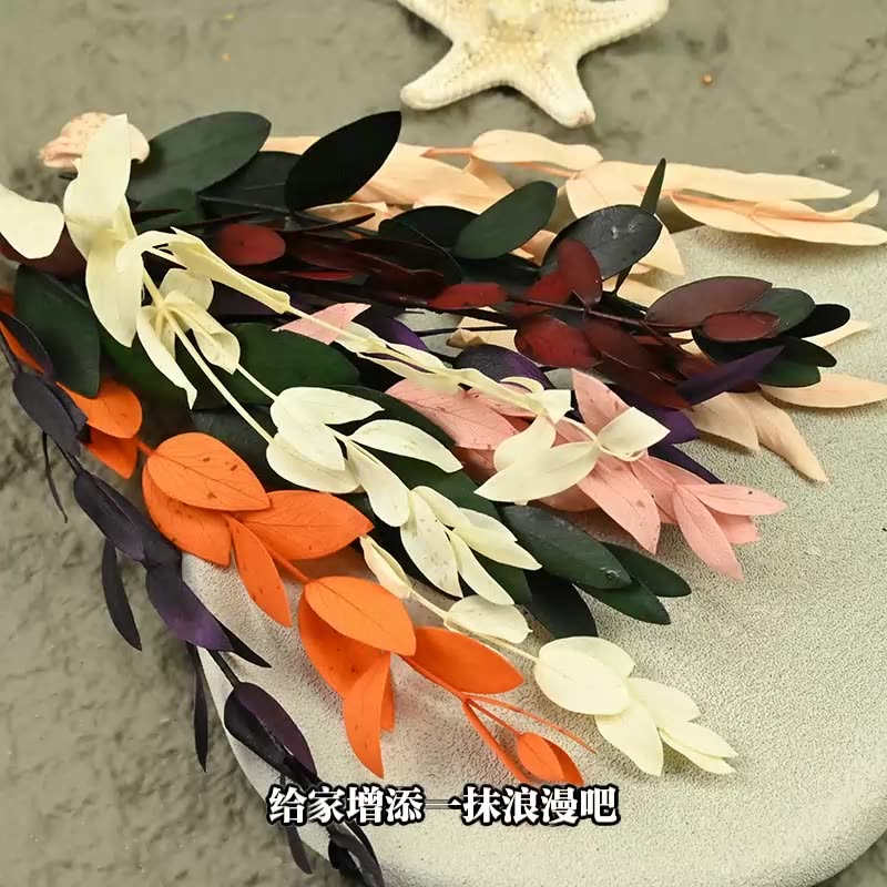 Dried  Flower Preserved Flower - Eucalyptus Preserved recension och pris