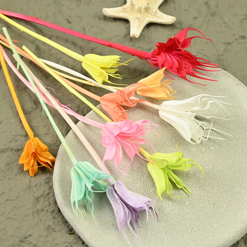 Dried  Flower Preserved Flower - Eucalyptus Preserved recension och pris