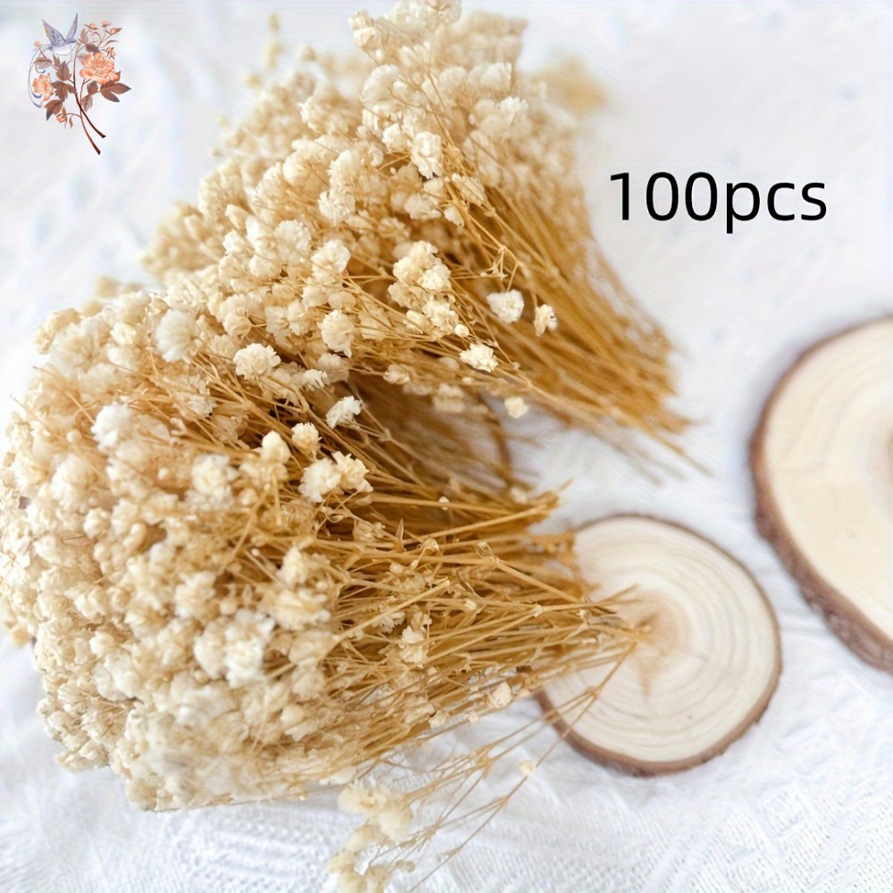 100pcs Mini Dried Baby's Breat - Dried Flower Bunch recension och pris