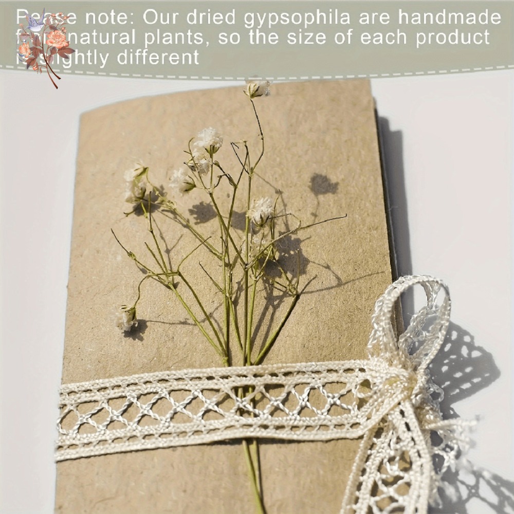 100pcs Mini Dried Baby's Breat - Dried Flower Bunch recension och pris